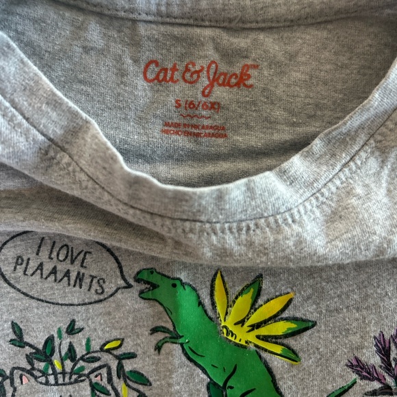 Cat & Jack Kids Dinosaur Plants and Nic Nacs T-shirt - Picture 2 of 2